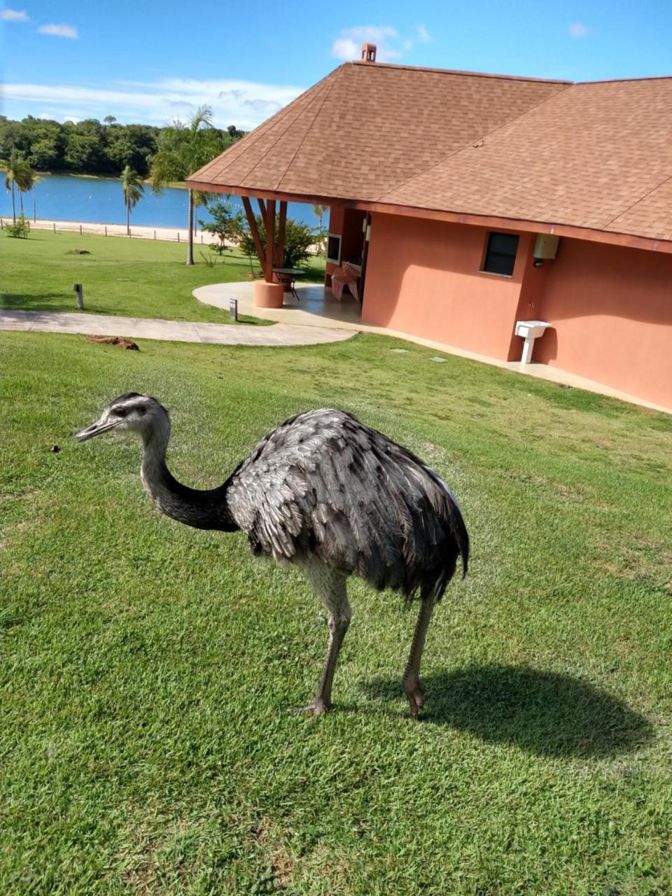 Malai Manso Cotista - Resort Acomodacoes 4 Hosp (Adults Only) Retiro  Exterior foto